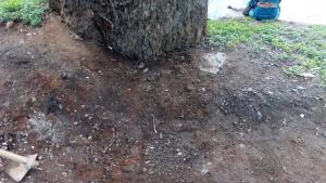 4. Cleanning (After)